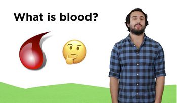 The Composition and Function of Blood