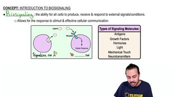 Introduction to Biosignaling