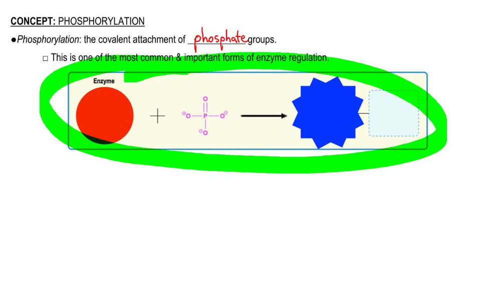 Phosphorylation
