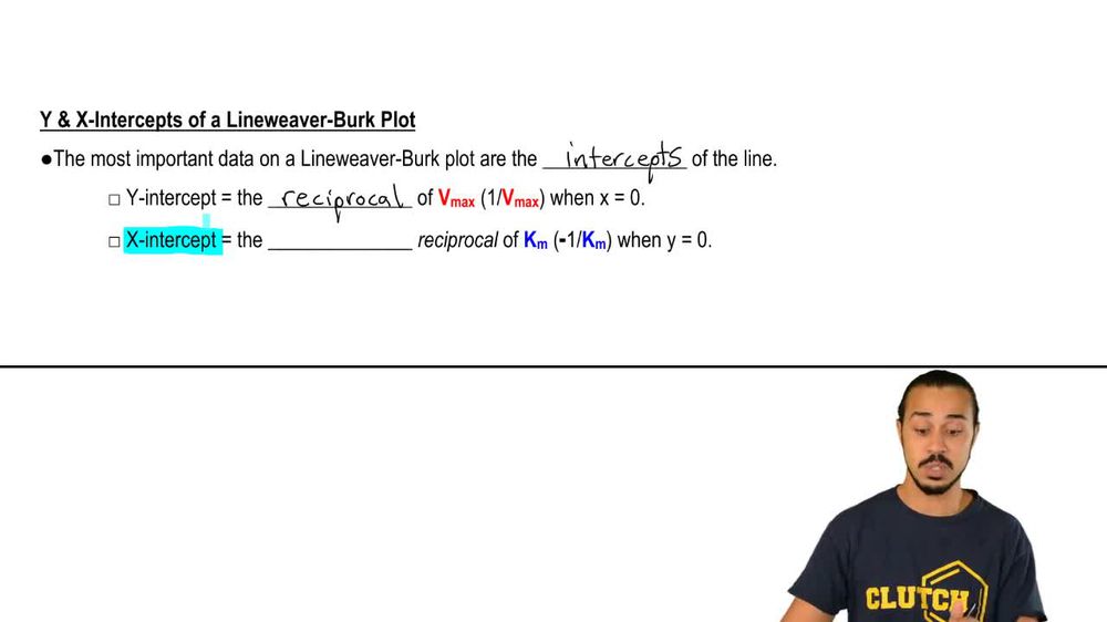 Lineweaver-Burk Plot