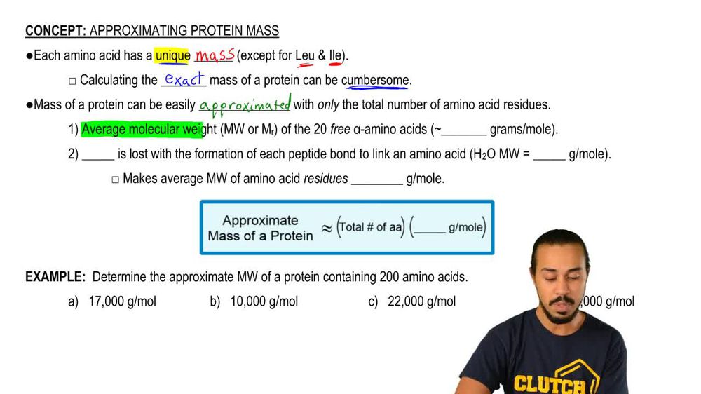 Approximating Protein Mass