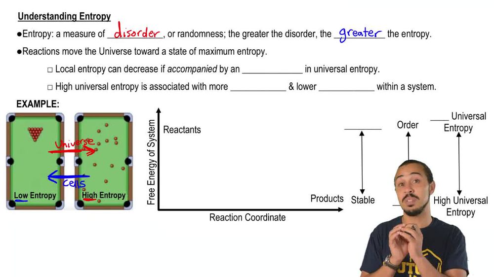 Understanding Entropy