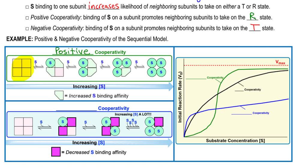 Sequential (KNF) Model