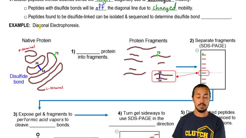 Diagonal Electrophoresis