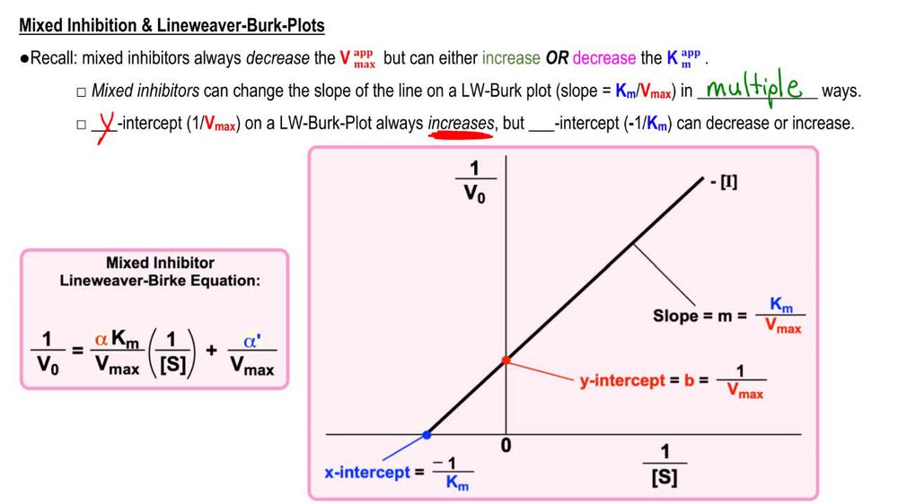 Mixed Inhibition & Lineweaver-Burk Plots