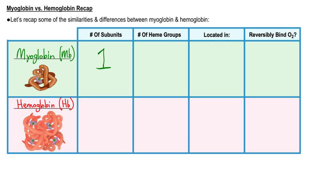 Myoglobin vs. Hemoglobin