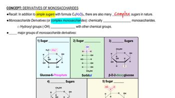 Derivatives of Monosaccharides 