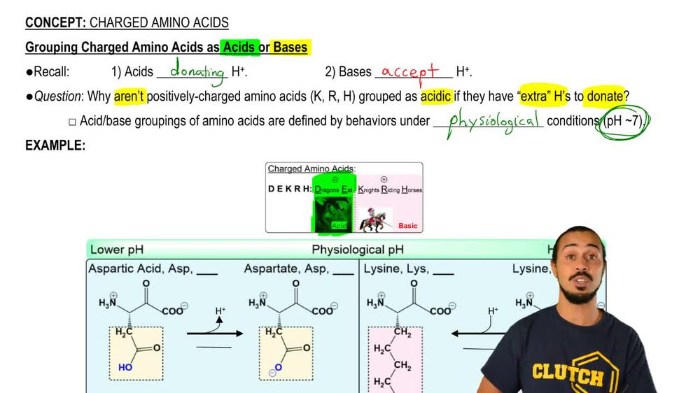 Charged Amino Acids