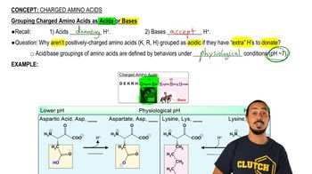Charged Amino Acids