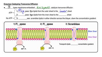 Physical Properties of Biological Membranes