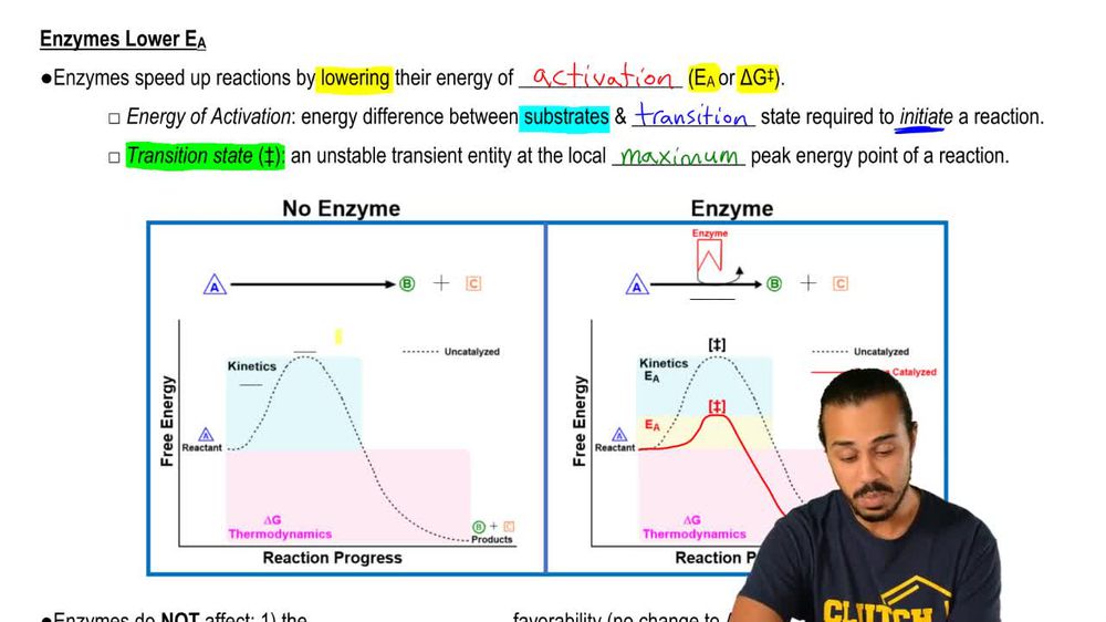 Enzymes
