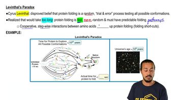 Protein Folding