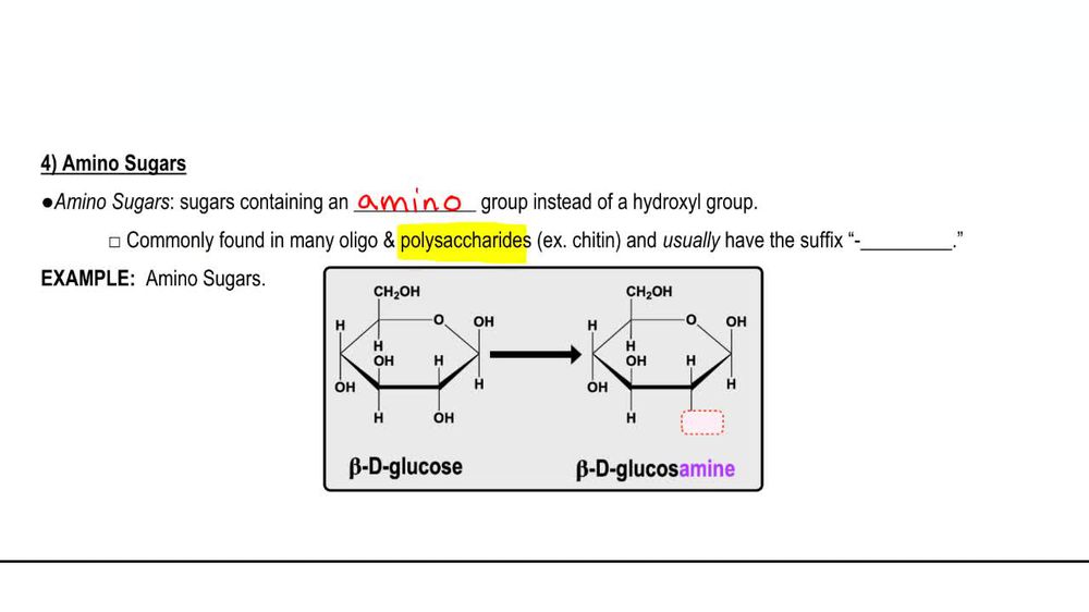 Derivatives of Monosaccharides 