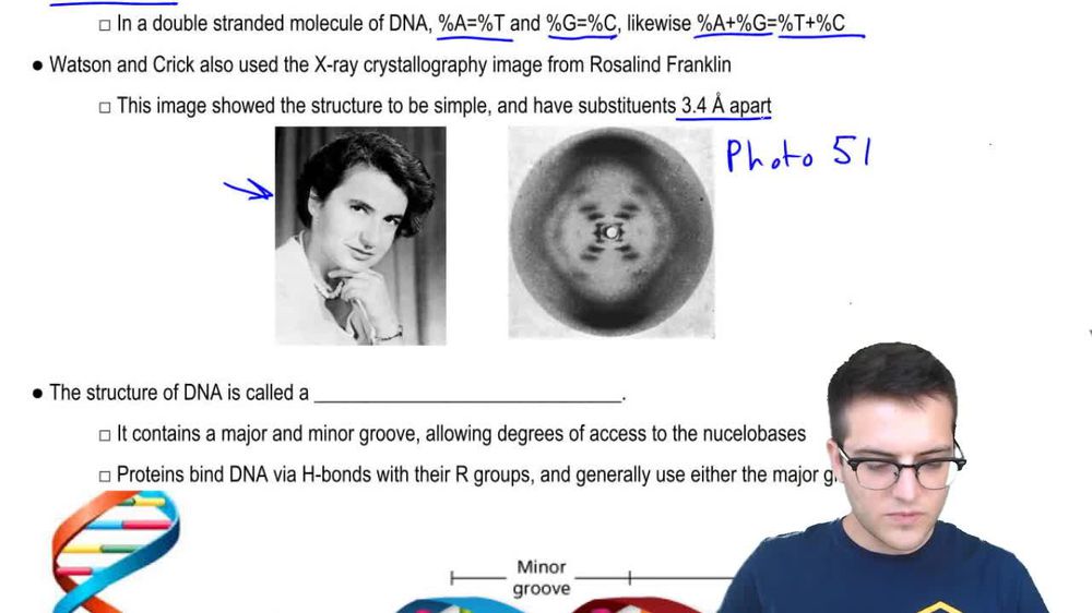 Nucleic Acids 3