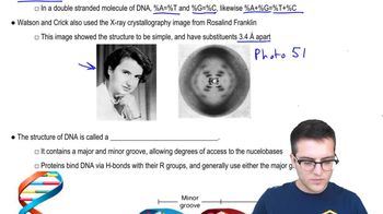 Nucleic Acids 3