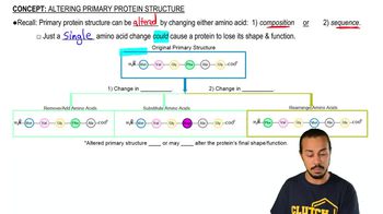 Altering Primary Protein Structure