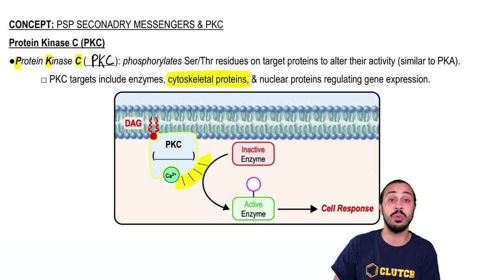 PSP Secondary Messengers & PKC