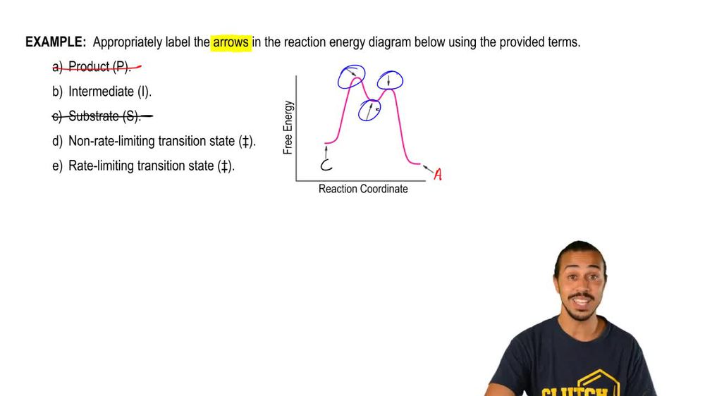 Enzyme-Substrate Complex Example 1
