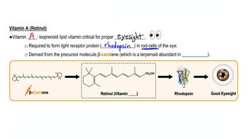 Lipid Vitamins