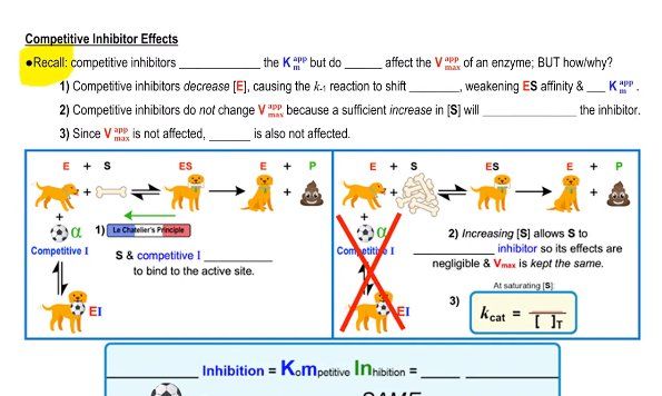 Competitive Inhibitor Effects