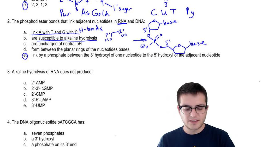 Practice - Nucleic Acids 1