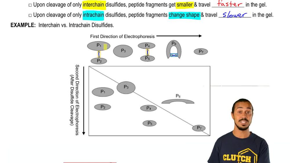 Diagonal Electrophoresis