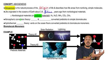 Formation of Life