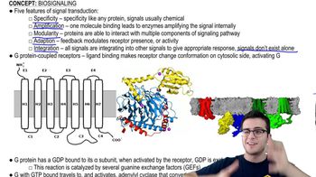 Biosignaling 1
