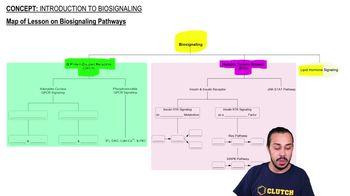 Introduction to Biosignaling