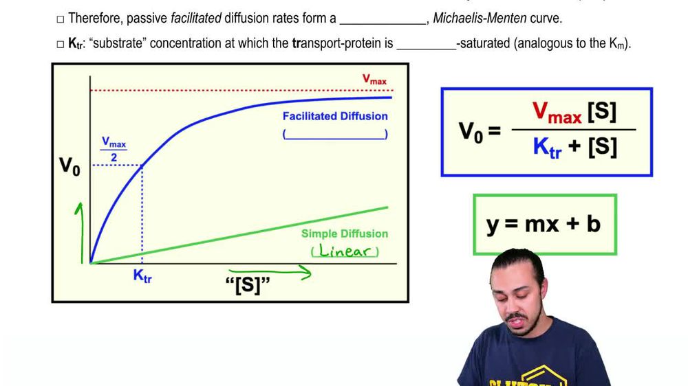 Passive Membrane Transport