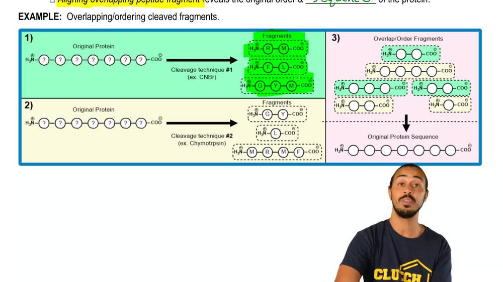 Ordering Cleaved Fragments