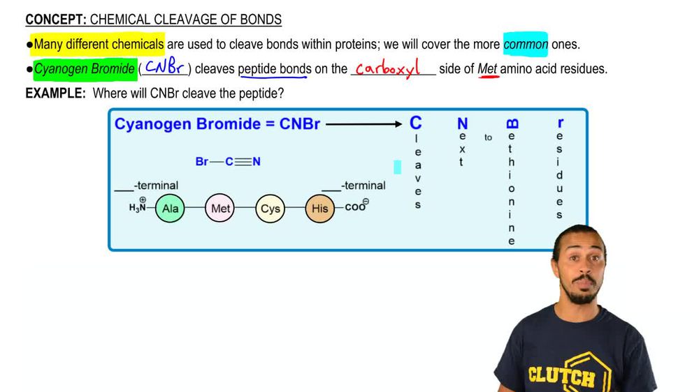 Chemical Cleavage of Bonds