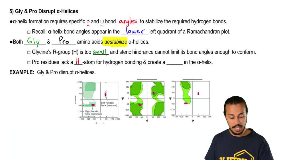 Alpha Helix Disruption