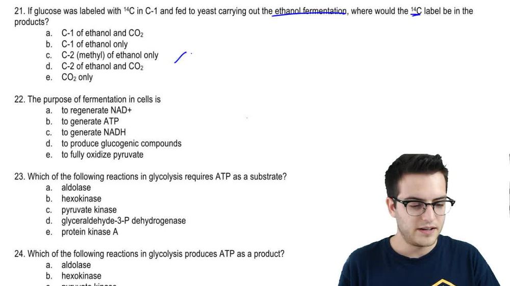 Practice - Glycolysis 1