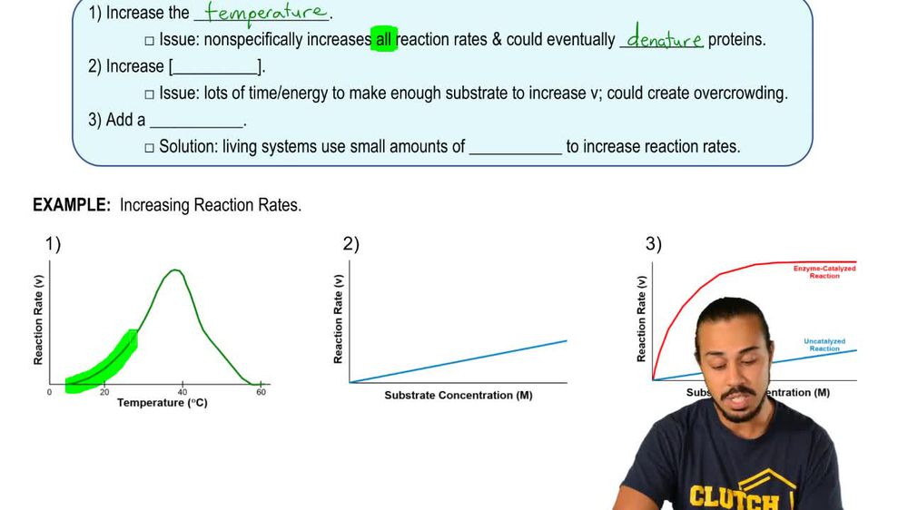 Enzyme Kinetics 