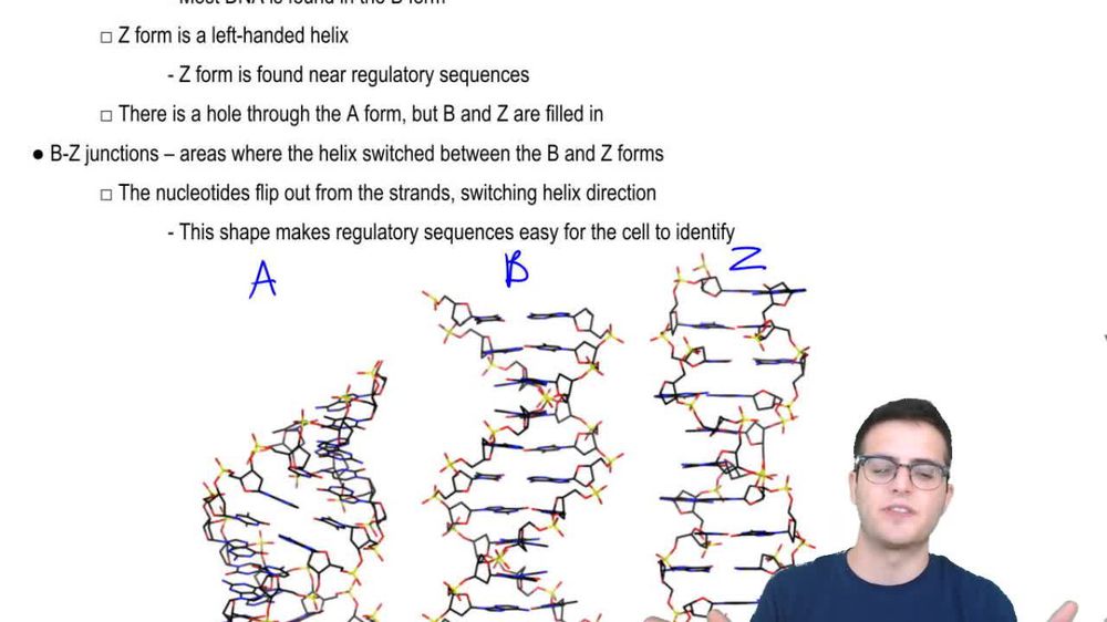 Nucleic Acids 4