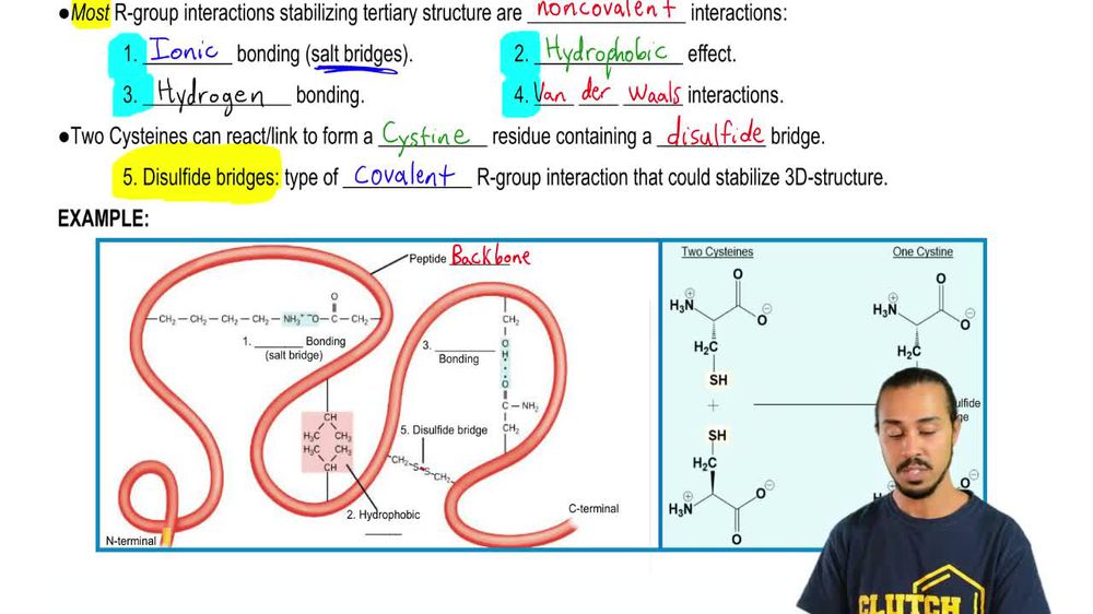 Tertiary Structure Of Protein