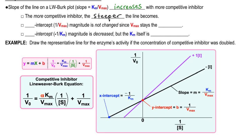 Competitive Inhibition & Lineweaver-Burk Plots