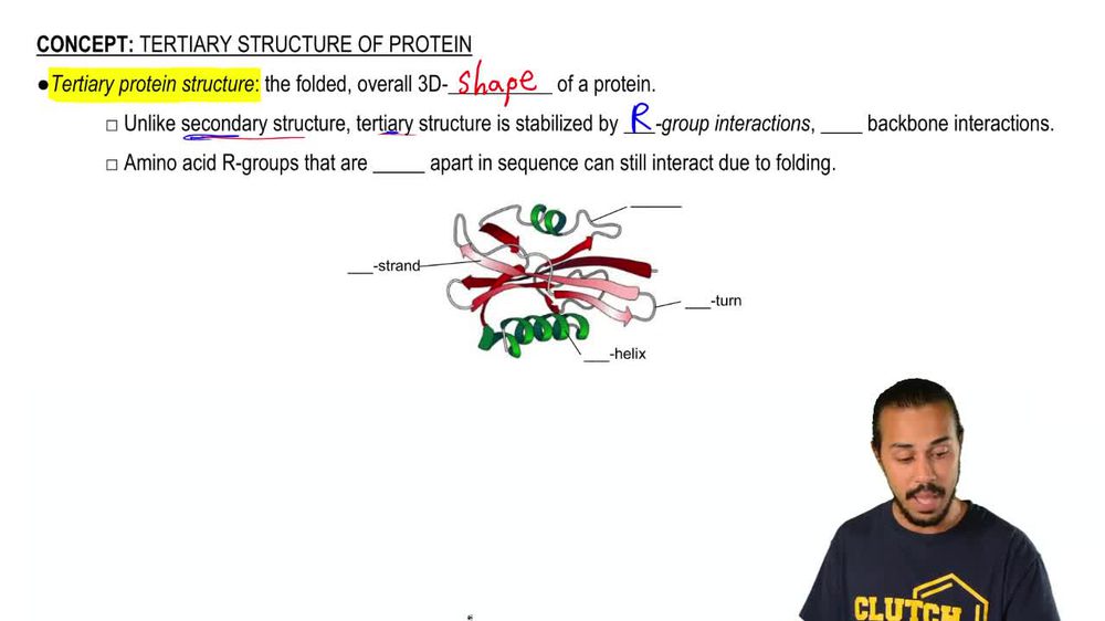 Tertiary Structure of Protein