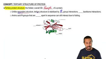 Tertiary Structure of Protein