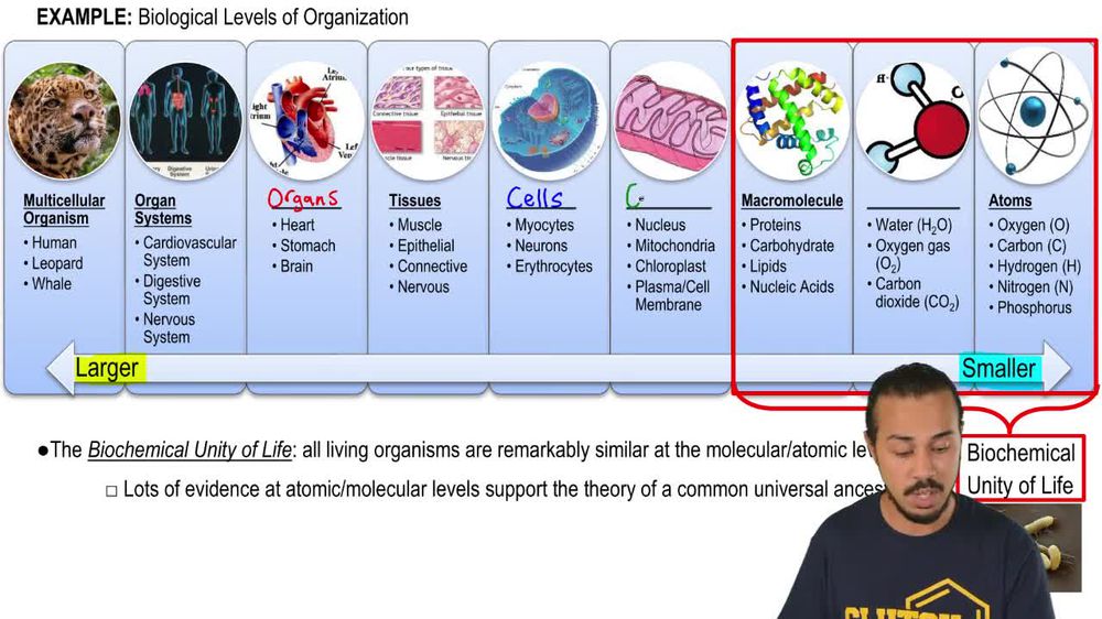 Biological Organization