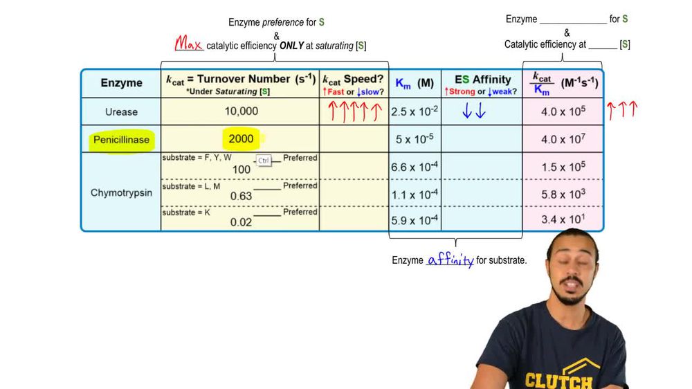 Specificity Constant