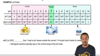 pH Scale