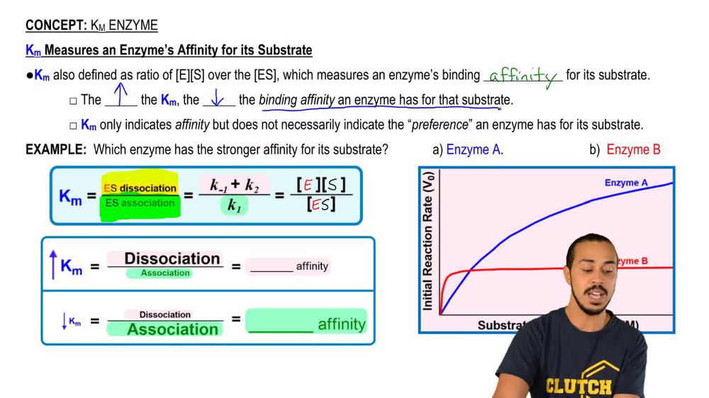Km Enzyme