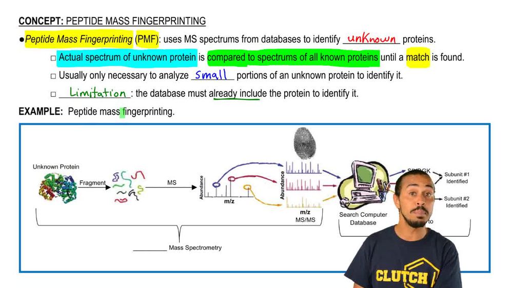Peptide Mass Fingerprinting