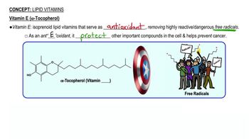Lipid Vitamins 