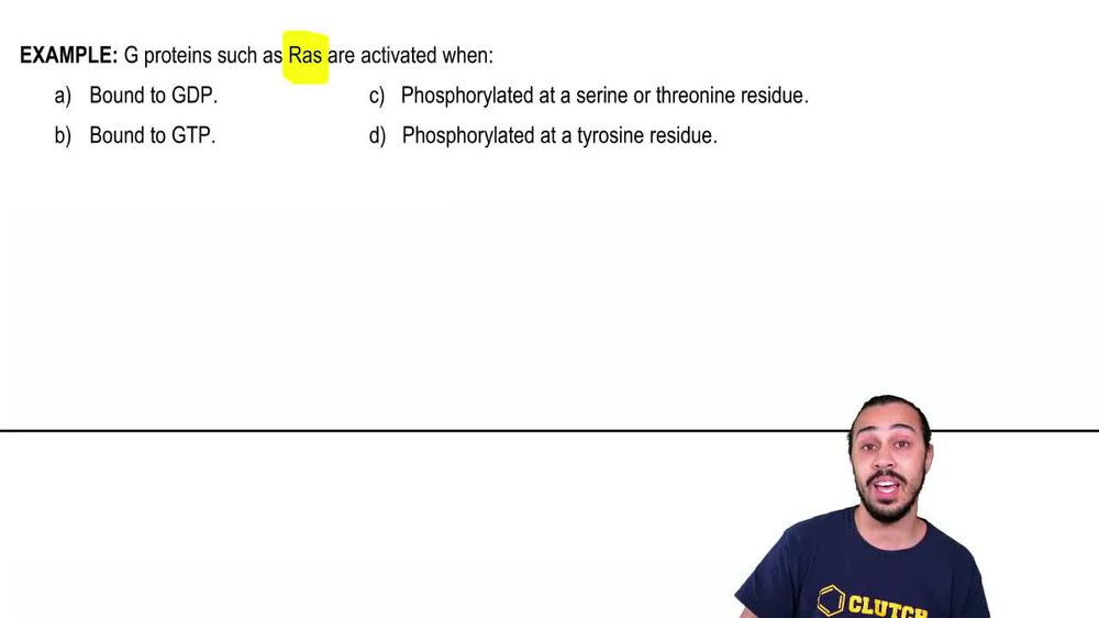 Insulin Signaling as a Growth Factor Example 1