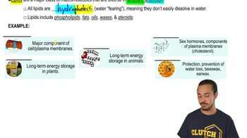 Lipids