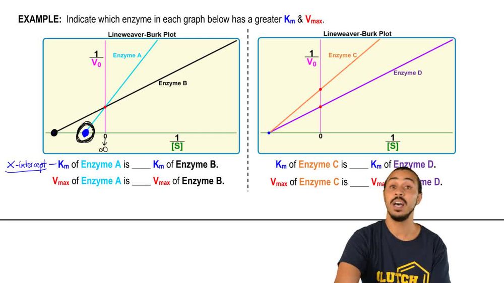 Shifting Lineweaver-Burk Plots Example 1
