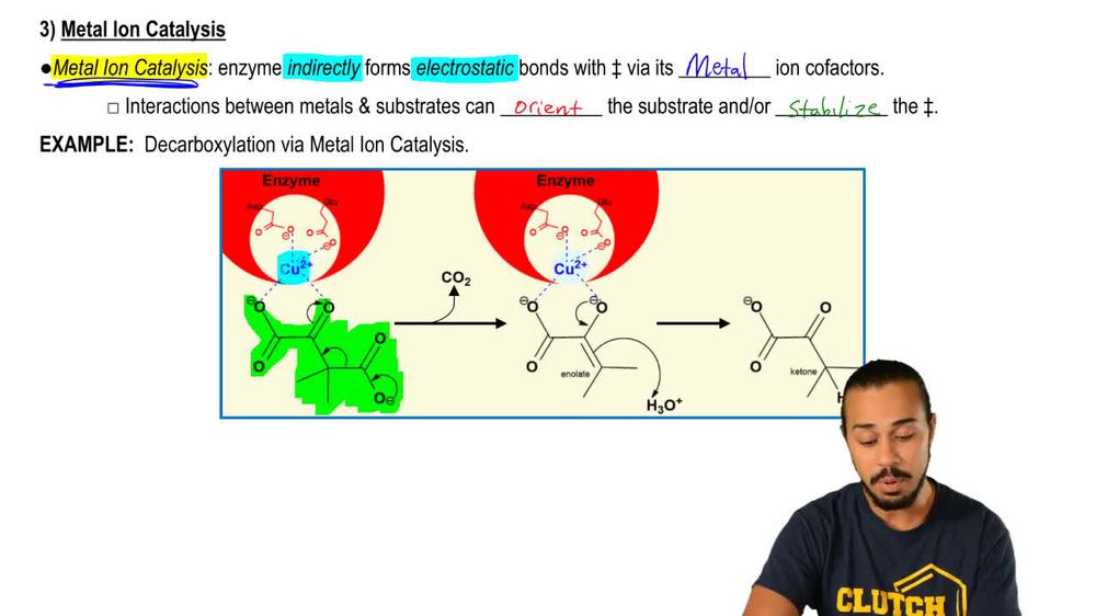 Electrostatic and Metal Ion Catalysis
